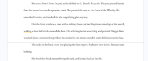 excerpt